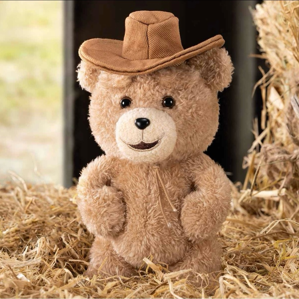POP MART Ted2 Teddy Bear Action Plush Pendant - Cowboy Bear